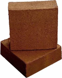 Compressed cocopeat blocks shown as an export product format